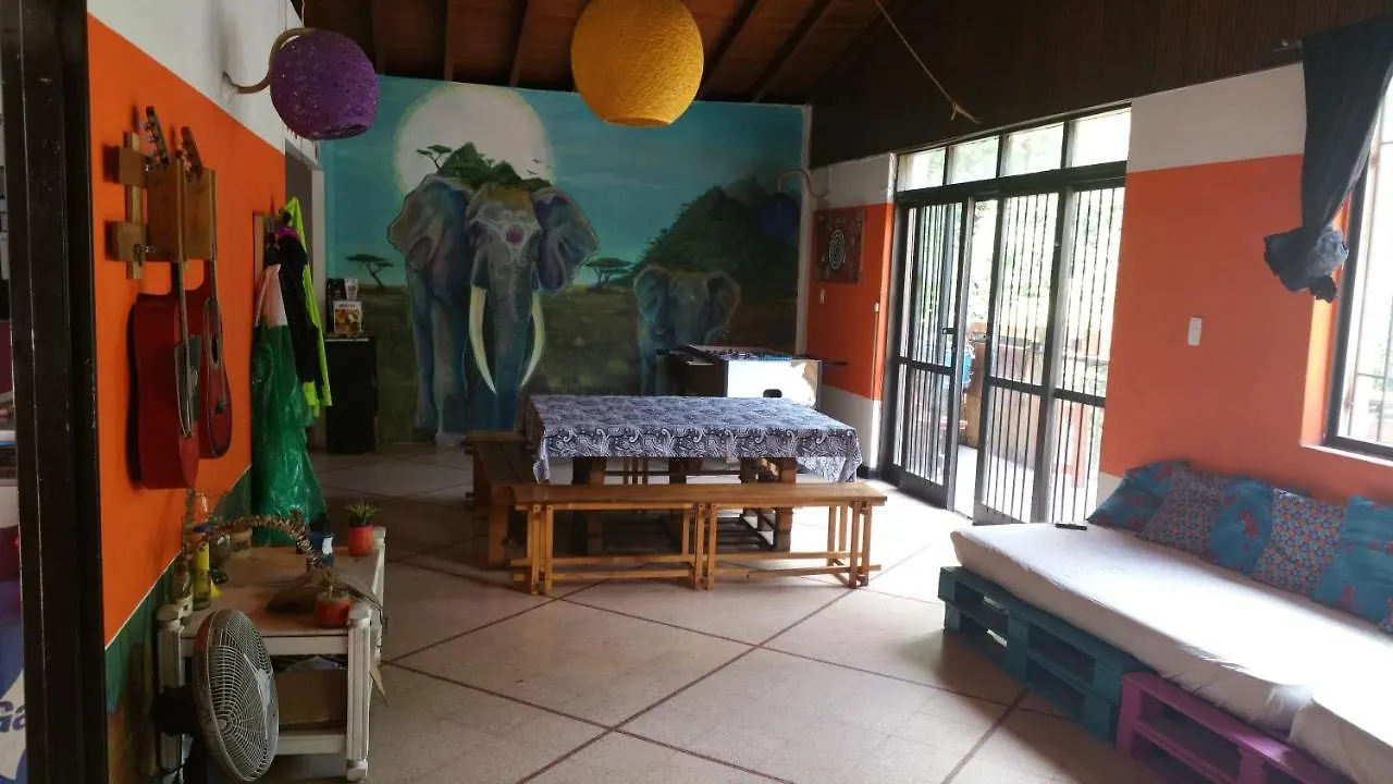 Almarita Guest House 麦德林 0*,  哥伦比亚